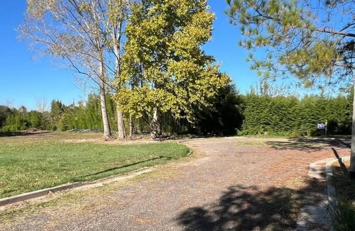 3 Lotes en Venta en la Loma, foto 1