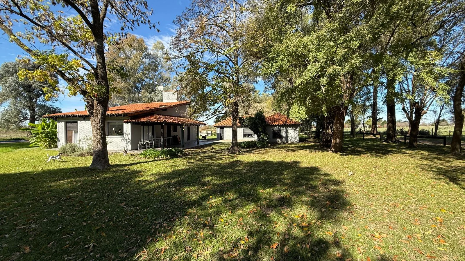Hermosa Chacra en venta sobre ruta, foto 15