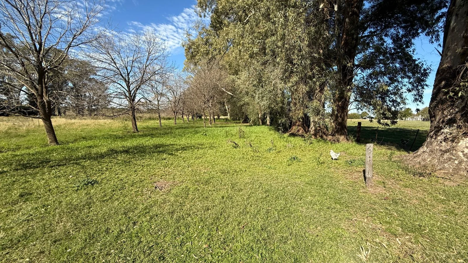 Hermosa Chacra en venta sobre ruta, foto 2