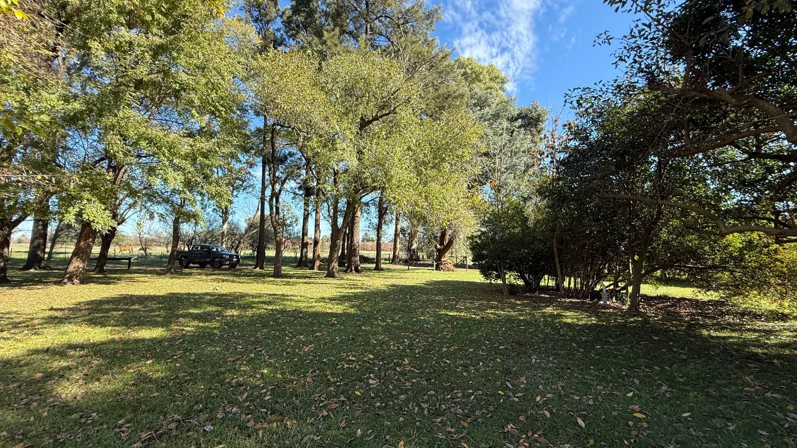 Hermosa Chacra en venta sobre ruta, foto 16