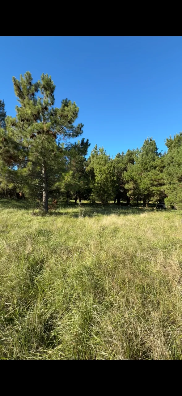 Campo en venta, foto 5