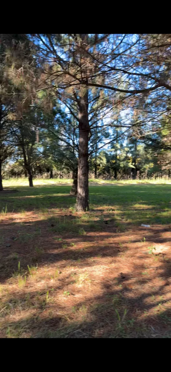 Campo en venta, foto 3