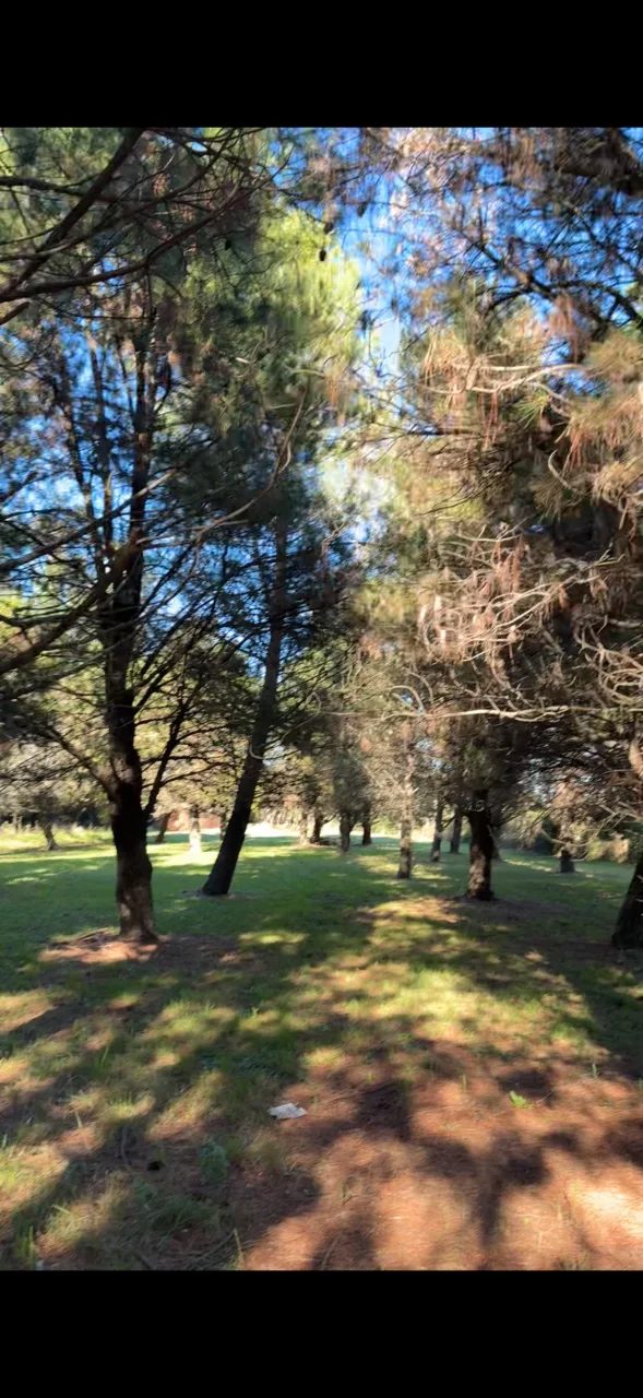 Campo en venta, foto 7