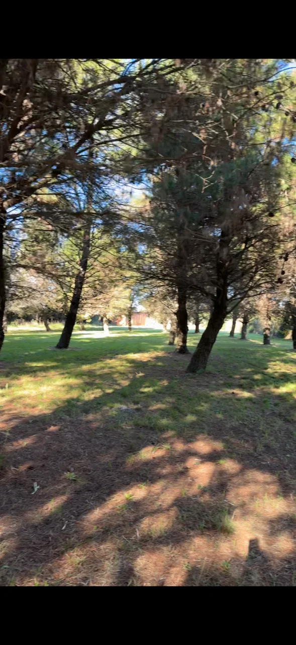 Campo en venta, foto 6