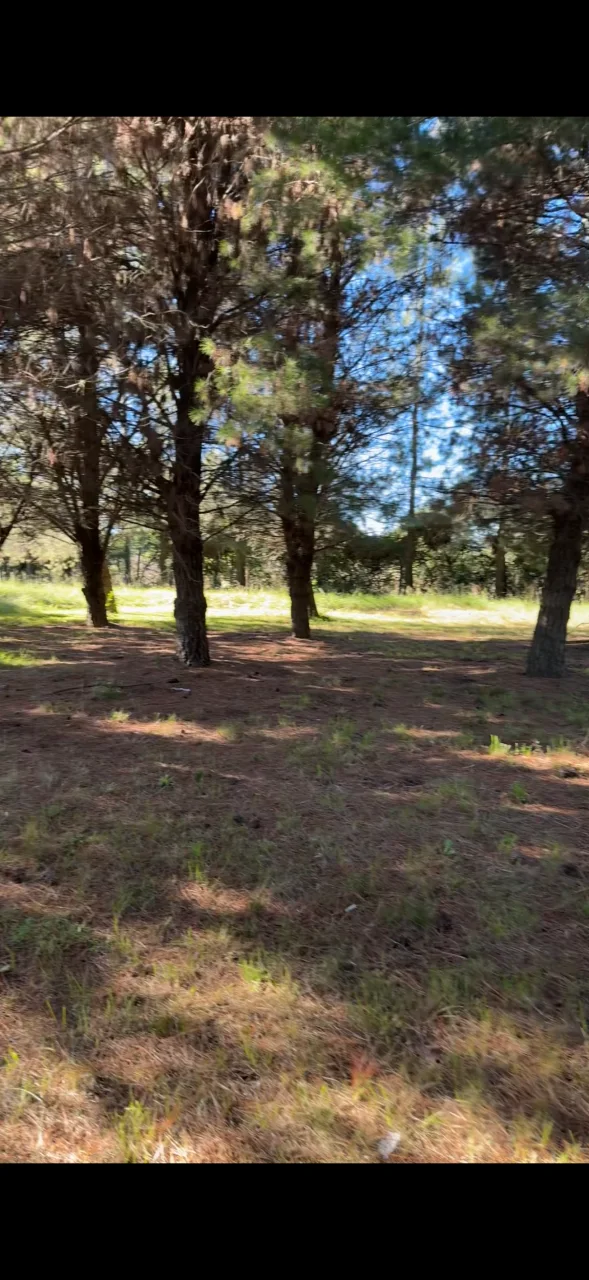 Campo en venta, foto 4