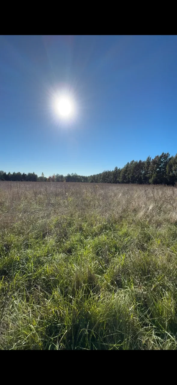 Campo en venta