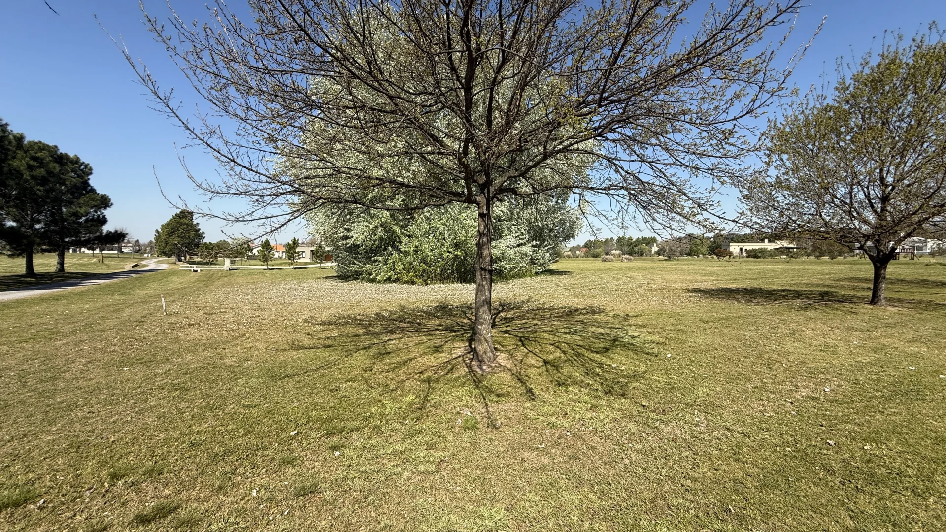 Lote en Venta en "Chacras de la Cruz", foto 5