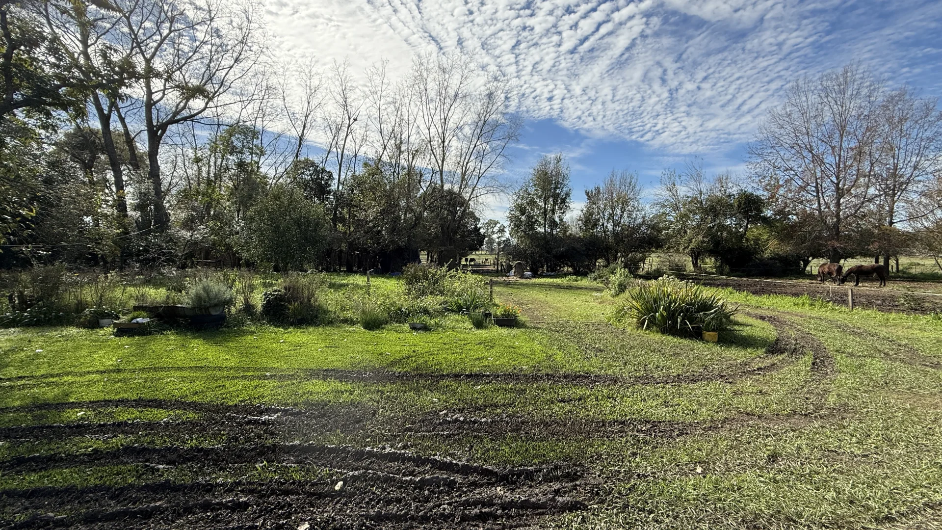 Campo en venta, foto 9
