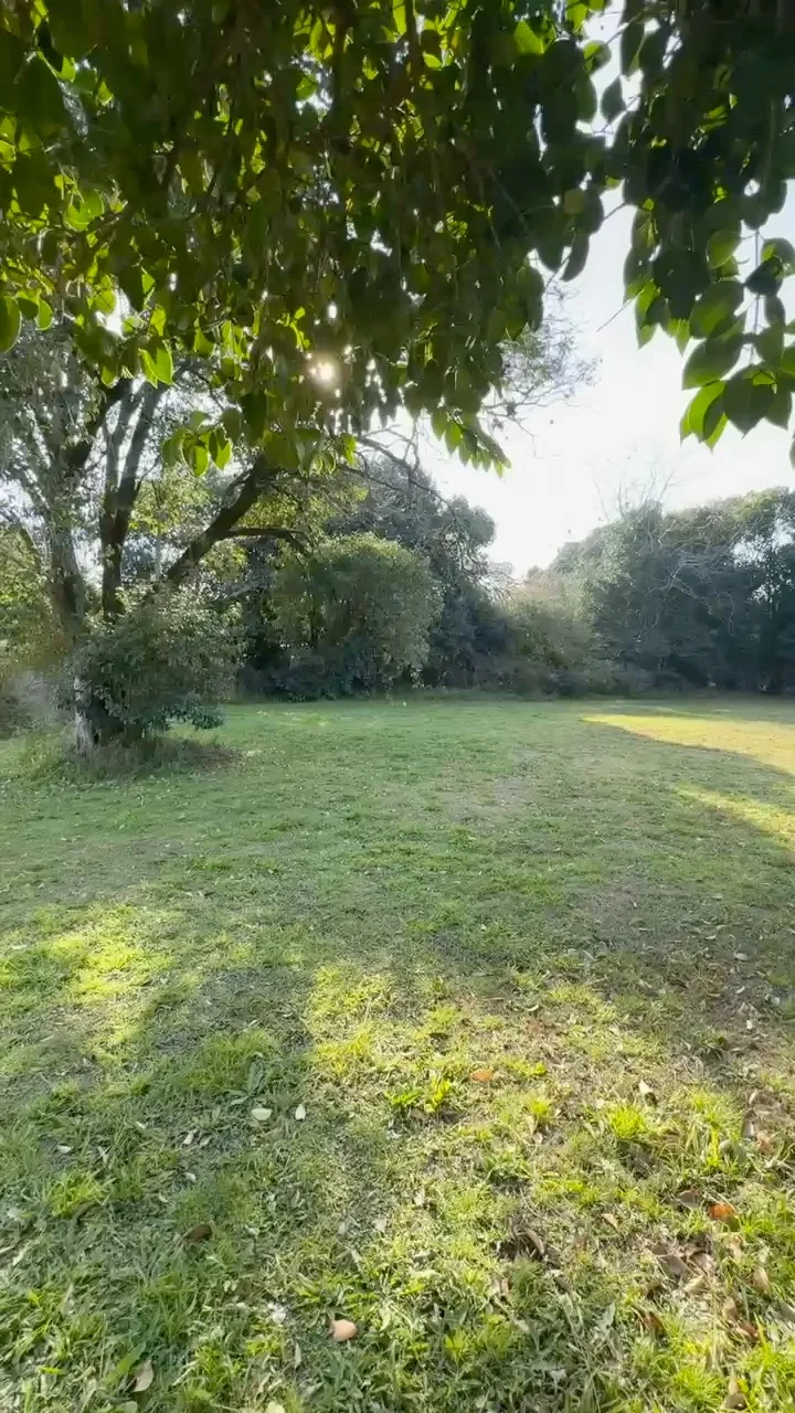 Lote en venta Barrio Alto Norte, foto 9