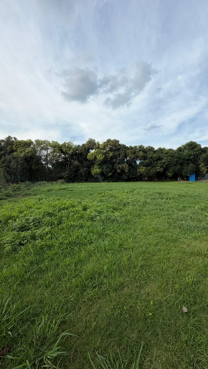 Lote en venta Barrio Alto Norte, foto 6