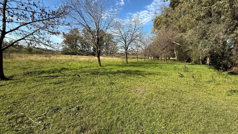 Hermosa Chacra en venta sobre ruta, foto 14
