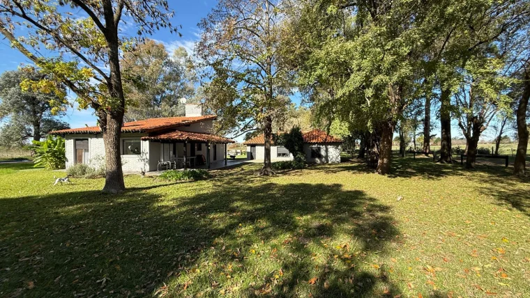 Hermosa Chacra en venta sobre ruta, foto 15