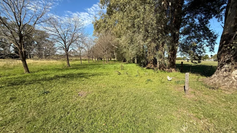 Hermosa Chacra en venta sobre ruta, foto 2