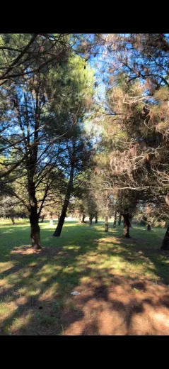 Campo en venta, foto 7