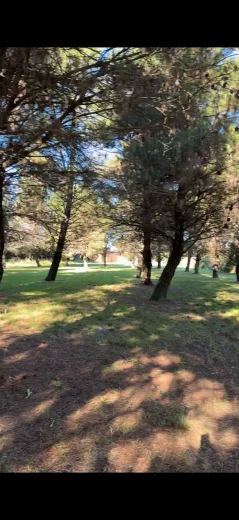 Campo en venta, foto 6