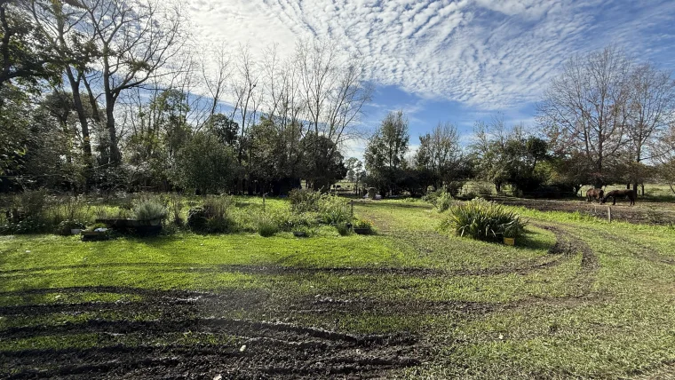 Campo en venta, foto 20