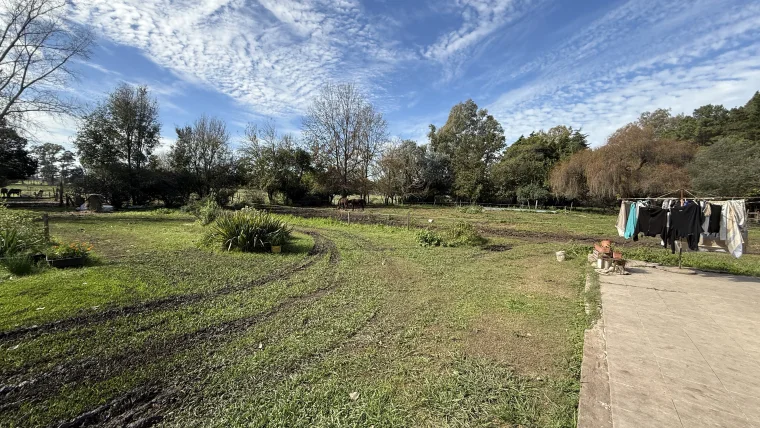 Campo en venta, foto 22