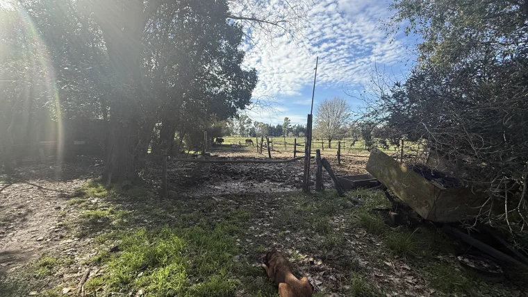 Campo en venta, foto 14