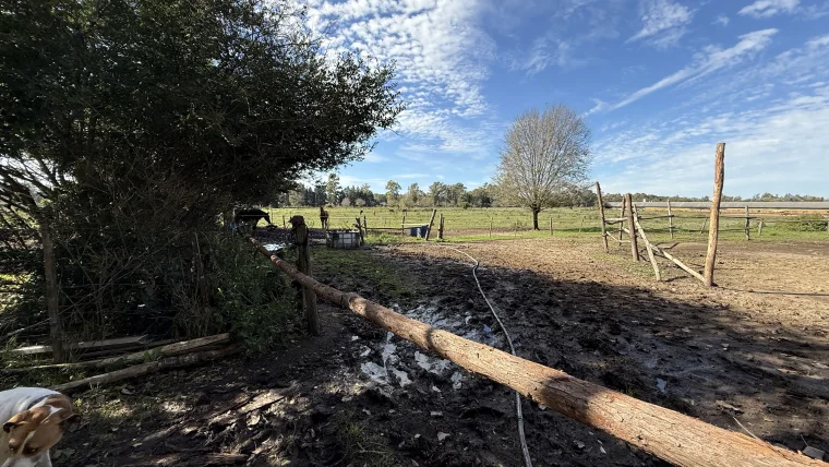 Campo en venta, foto 4