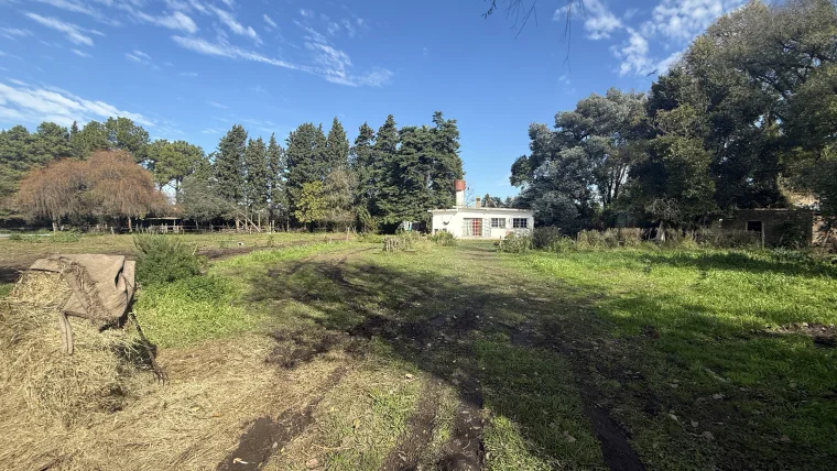Campo en venta, foto 16