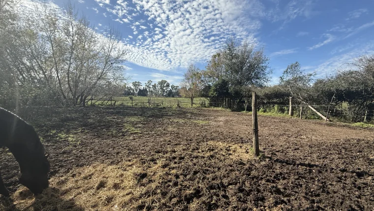 Campo en venta, foto 2