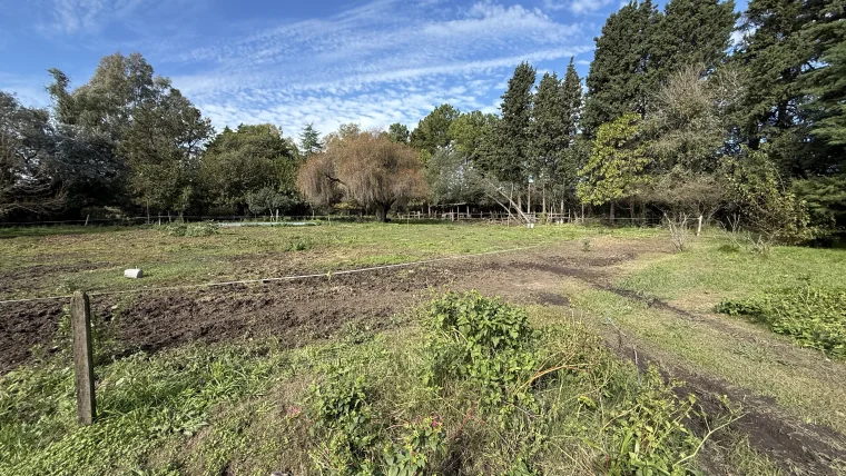 Campo en venta, foto 10