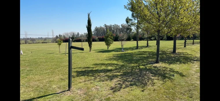 LOTE EN "CHACRAS DE LA CRUZ", foto 4