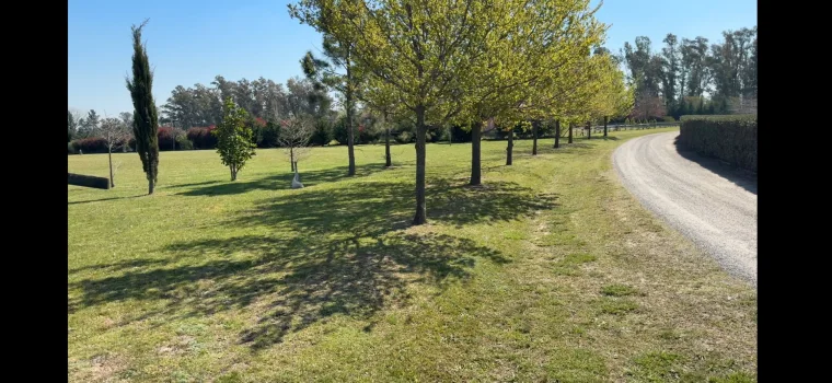 LOTE EN "CHACRAS DE LA CRUZ", foto 6